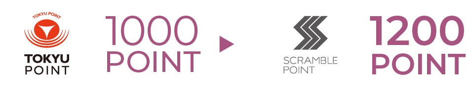 ポイント交換の図説